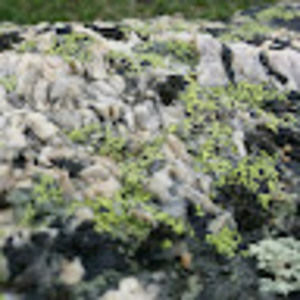 Meet your Posher, Ben